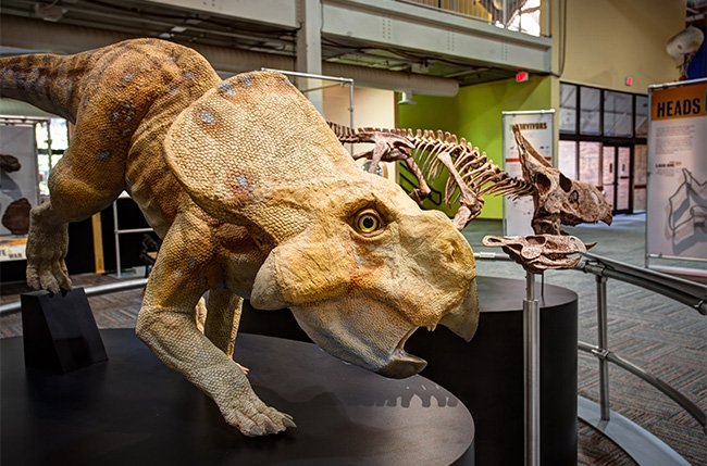 Museum of Science & Industry